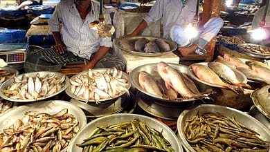 fisheries of bangladesh