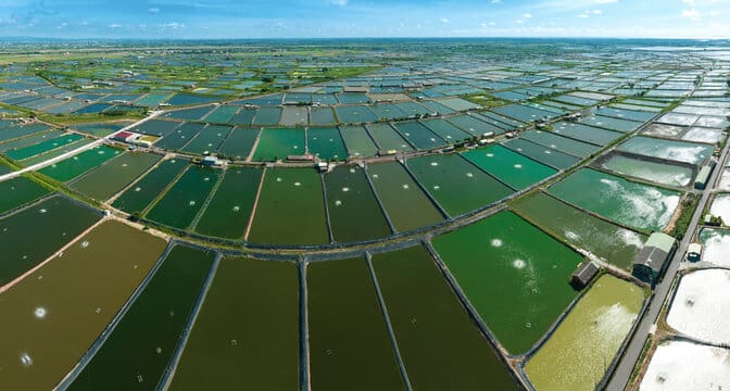 greenhouse gas emission from shrimp farming is one of the source of GHS world wide.