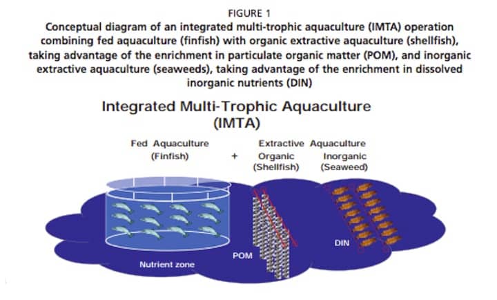 IMTA integrated multi trophic aquaculture