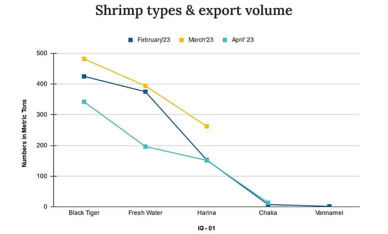 shrimp export khulna