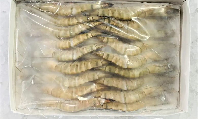 black tiger shrimp exporters of Bangladesh, shrimp export of bangladesh