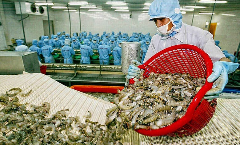 Vietnamese Black Tiger Shrimp exports to UK has increased in 2.7% rate / seafood export